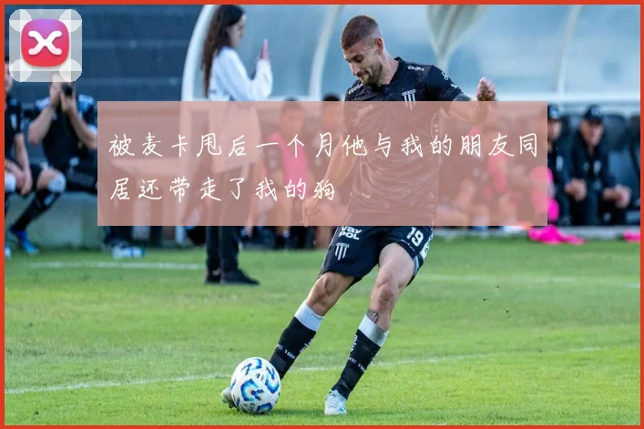 被麦卡甩后一个月他与我的朋友同居还带走了我的狗