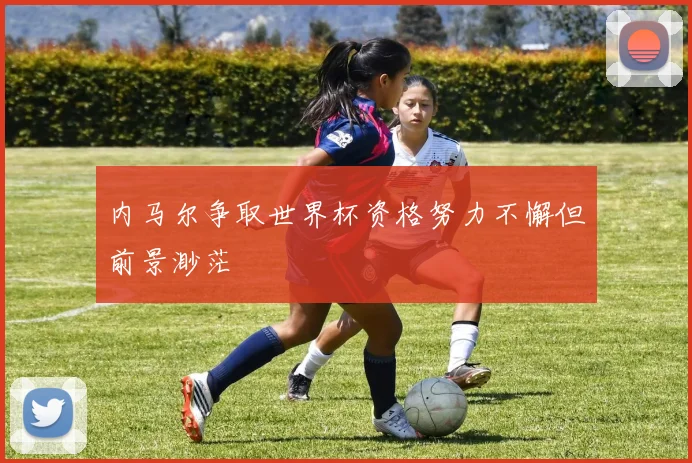 内马尔争取世界杯资格努力不懈但前景渺茫