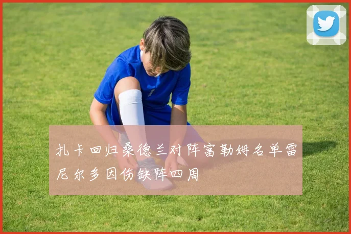 扎卡回归桑德兰对阵富勒姆名单雷尼尔多因伤缺阵四周